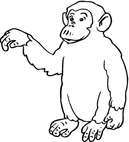 Chimp Says Hi Coloring Page